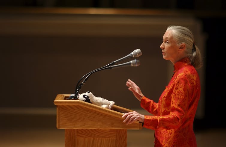 woman delivering public lecture.