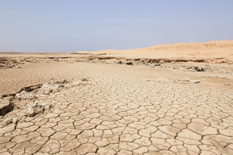 Dried Red Sea Drought