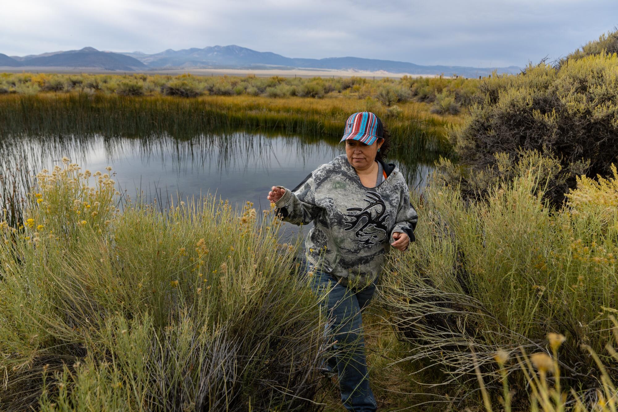 Rana Saulque, vice chairwoman for the Utu Utu Gwaitu Paiute tribe, walks near a natural spring.