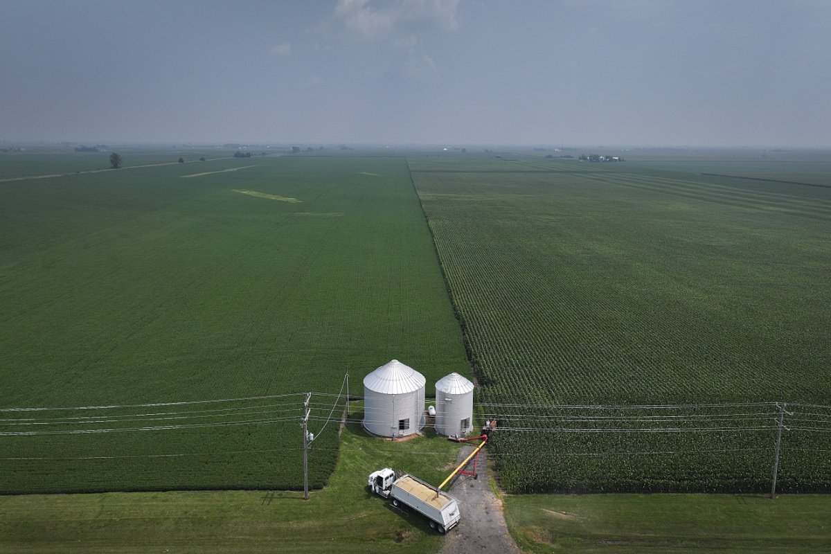 DWIGHT, ILLINOIS - AUGUST 01: An aerial view shows a farmer loading soybeans from grain bins into a truck so they can be sold on August 01, 2025 in Dwight, Illinois. Although farmers in the area are expecting strong yields from this year's crops after a favorable growing season, there is concern about depressed demand and prices as tariffs risk shifting global markets toward cheaper crops in Brazil, which has overtaken the U.S. as the worlds largest soybean producer and is expected to have a record soybean crop this season. (Photo by Scott Olson/Getty Images)
