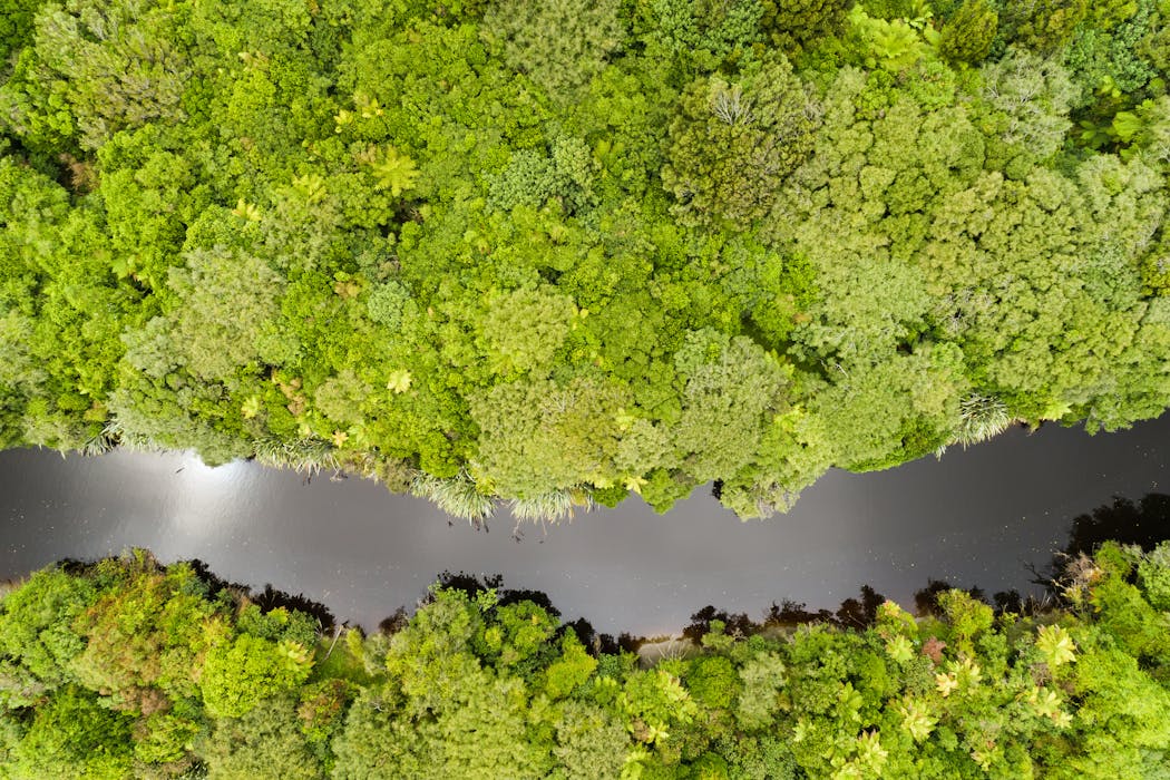Reform of NZ’s protected lands is overdue – but the public should decide about economic activities