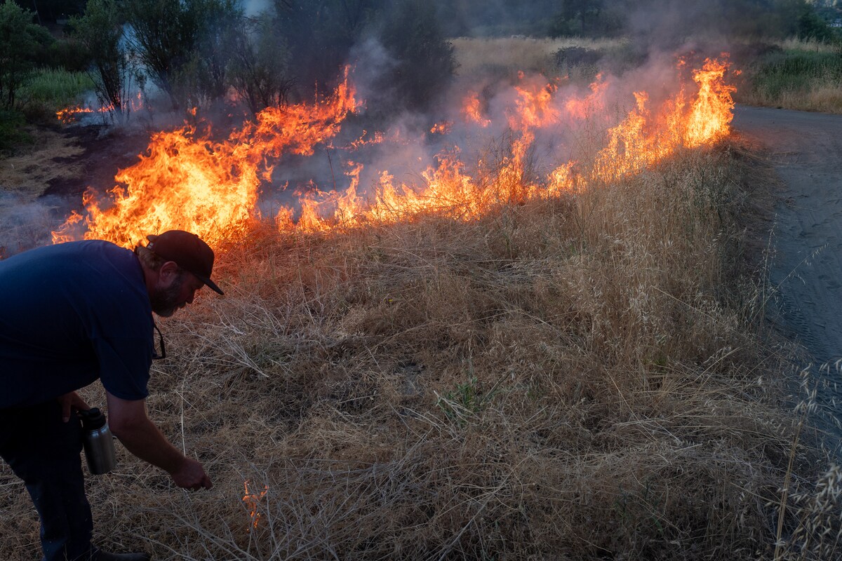 How indigenous practices can help protect forests