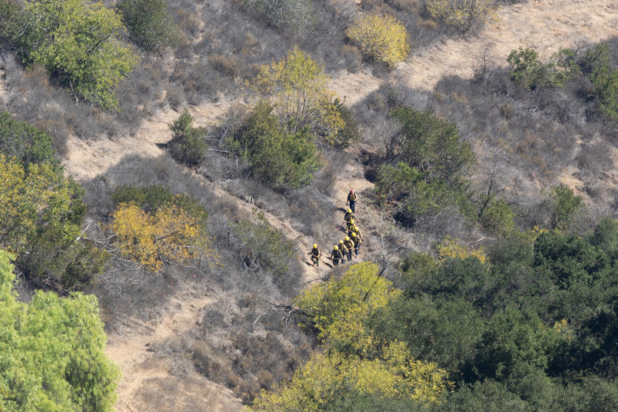 A fire crew walks in the Santa Monica Mountains in Topanga during a wildfire risk reduction project