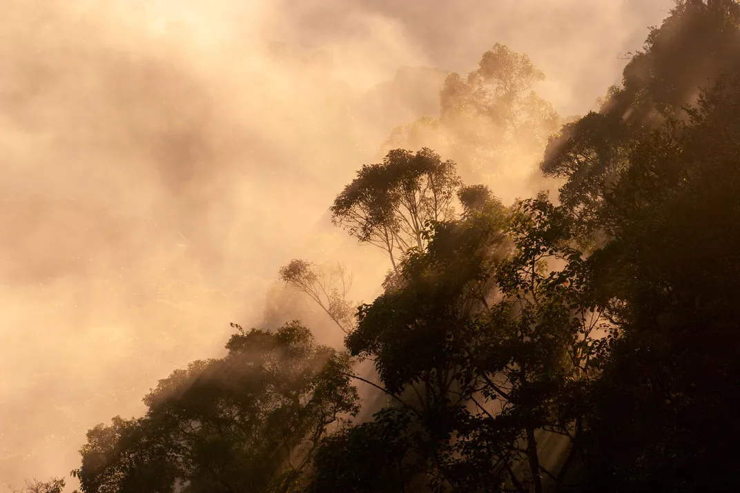 an overhead view of clouds along a tree-filled mountainside