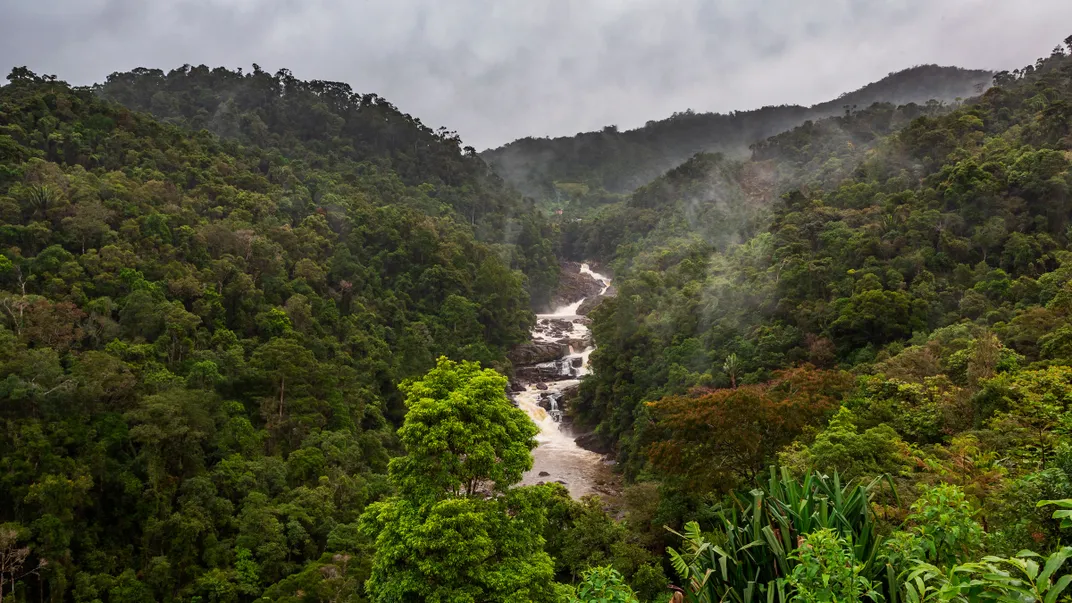 an overhead view of a river cutting through a mountainous rainforest