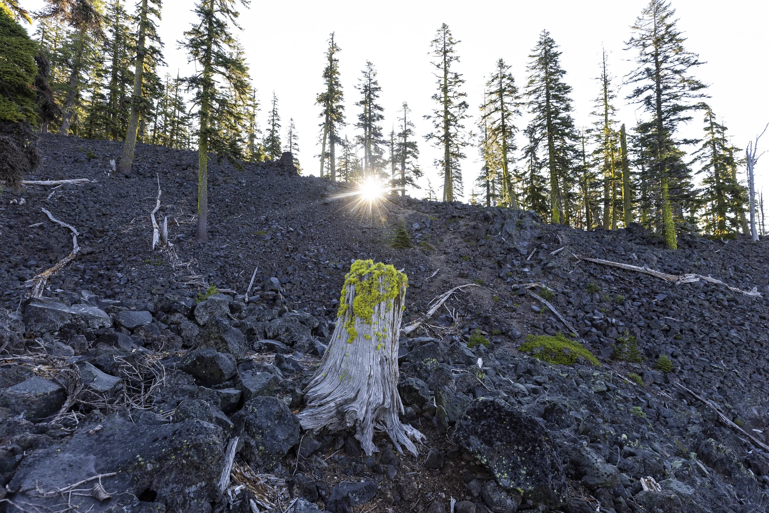 The sun peeks over a hill of black volcanic rock.