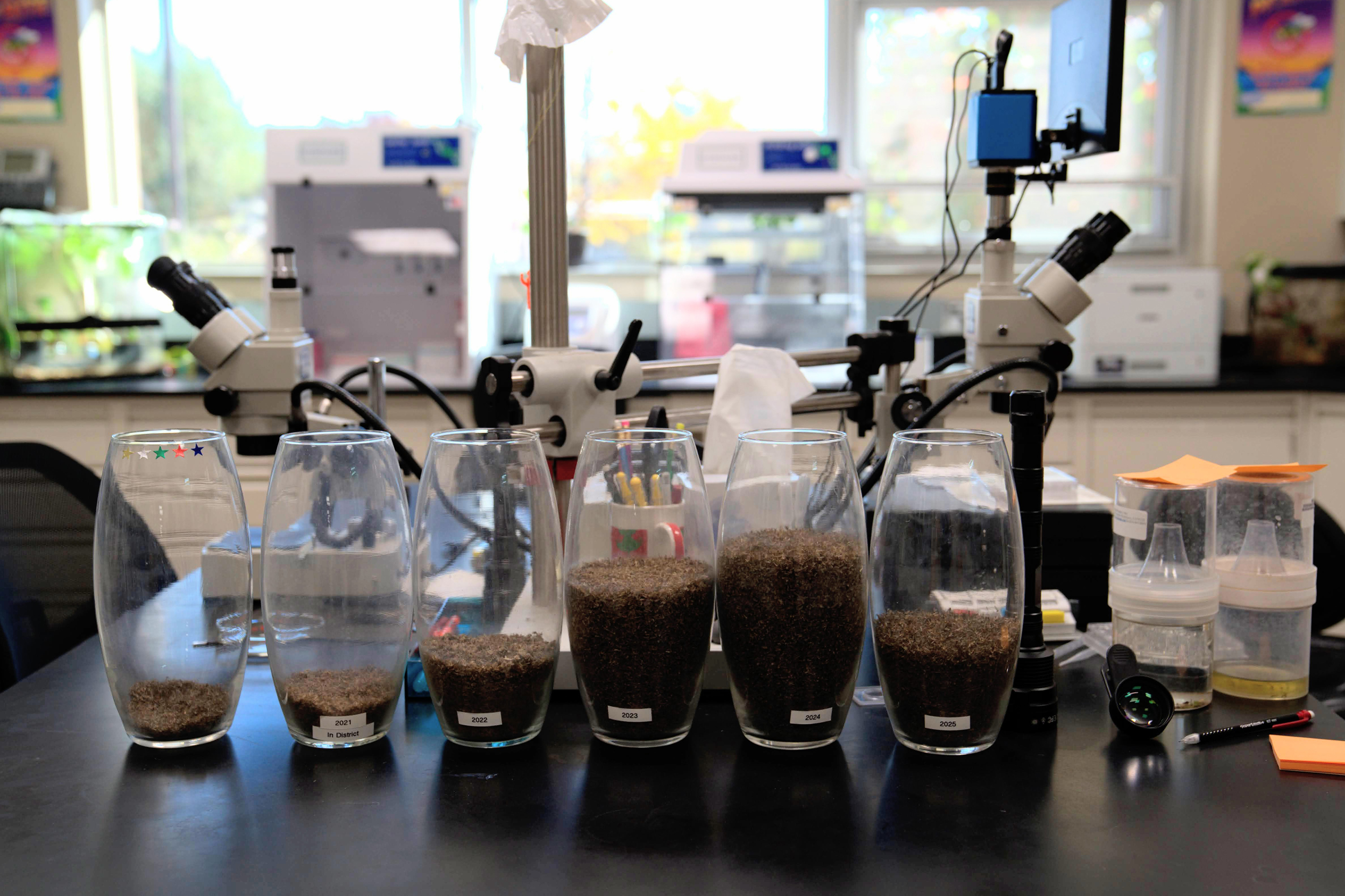 Six glasses filled with mosquitos in a lab.