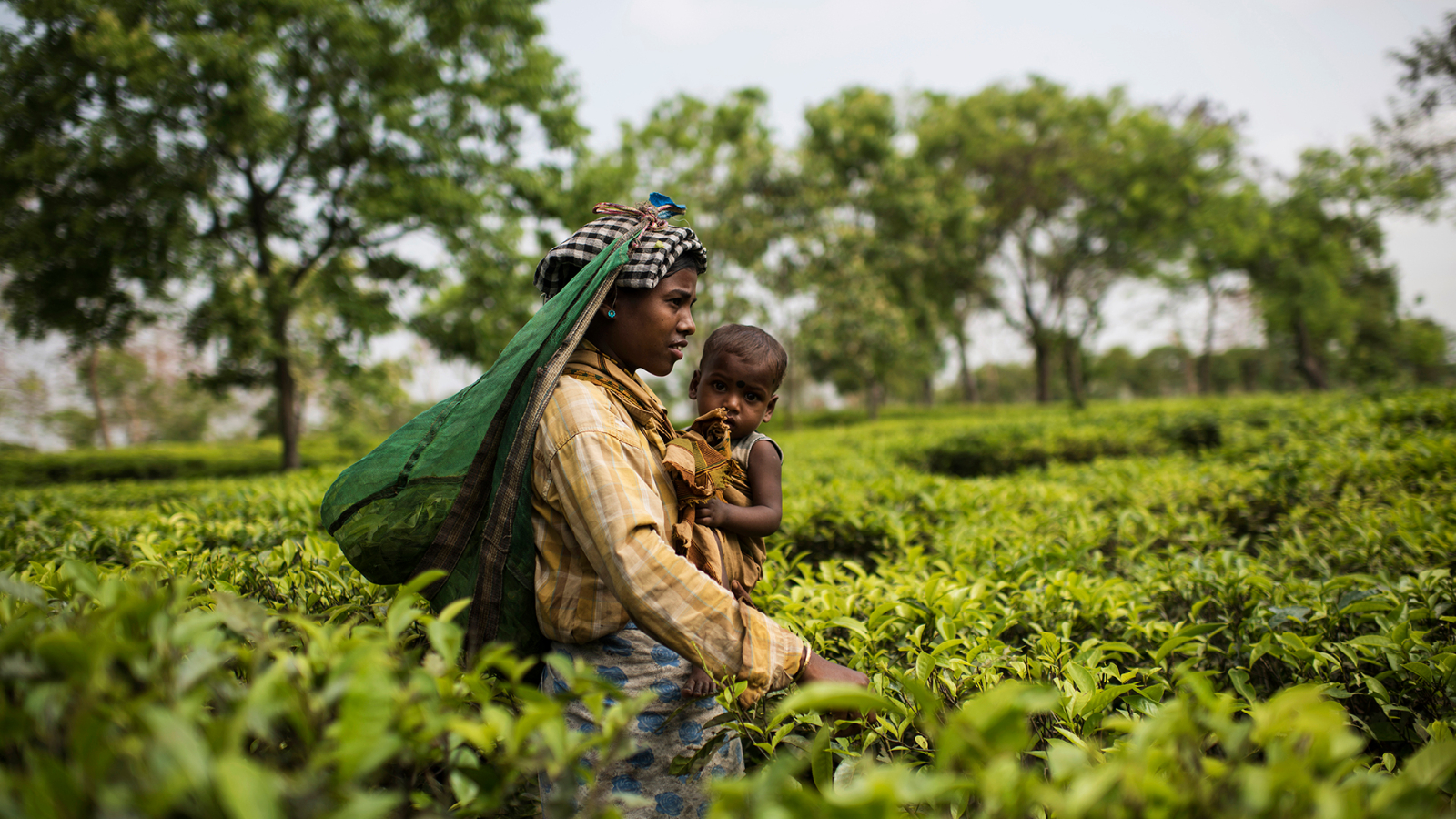 The birth of the climate doula
