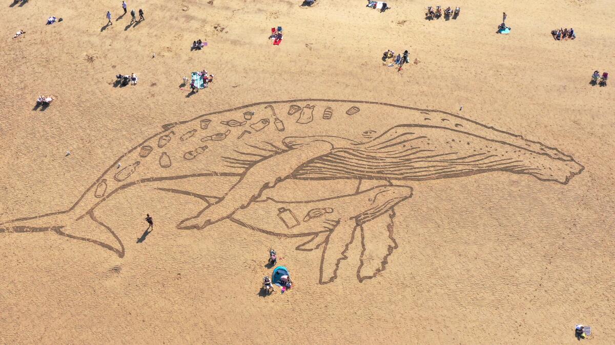 How little plastic does it take to kill marine animals? Scientists have answers