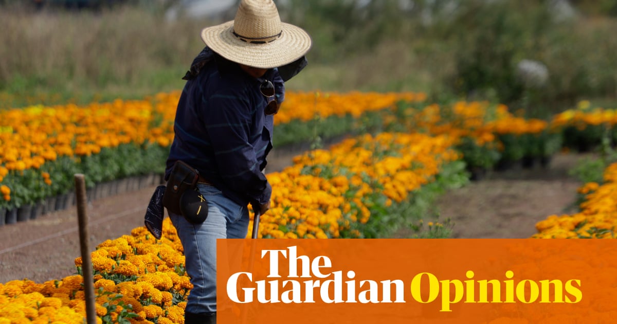 Food is medicine, and that’s a fact. Why we all need Native American foodways