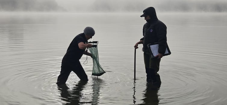 Two people standing in the Waikato River, with sampling equipment.