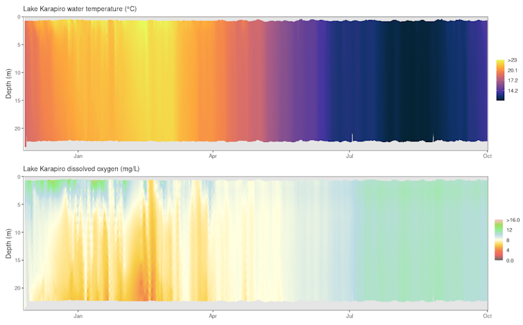 A graph showing Lake Karāpiro water column temperature and dissolved oxygen levels (from November 2024 to October 2025))