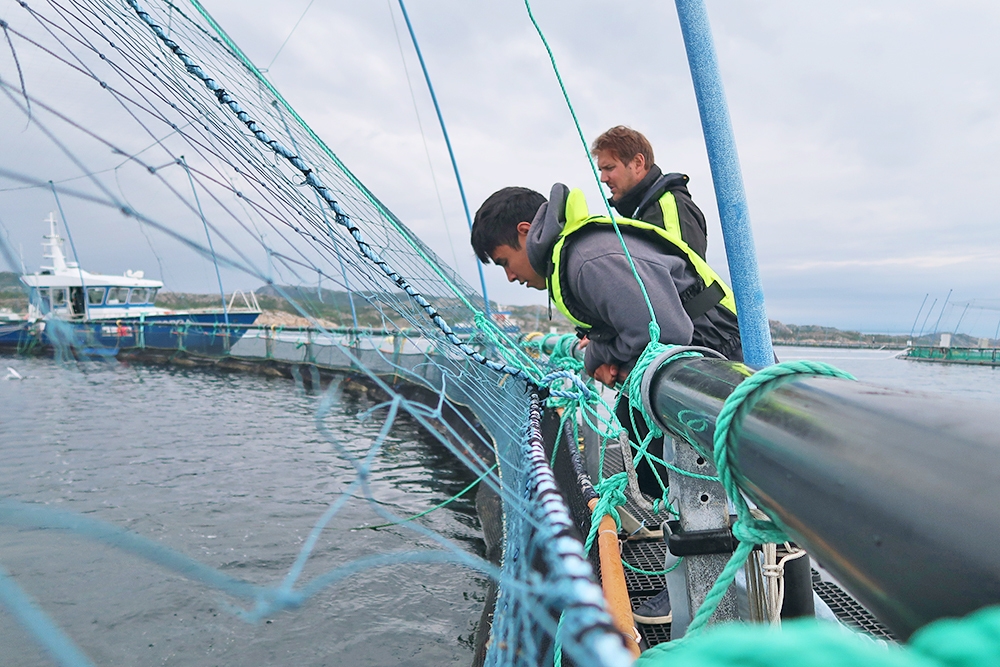 MIT Sea Grant students explore the intersection of technology and offshore aquaculture in Norway
