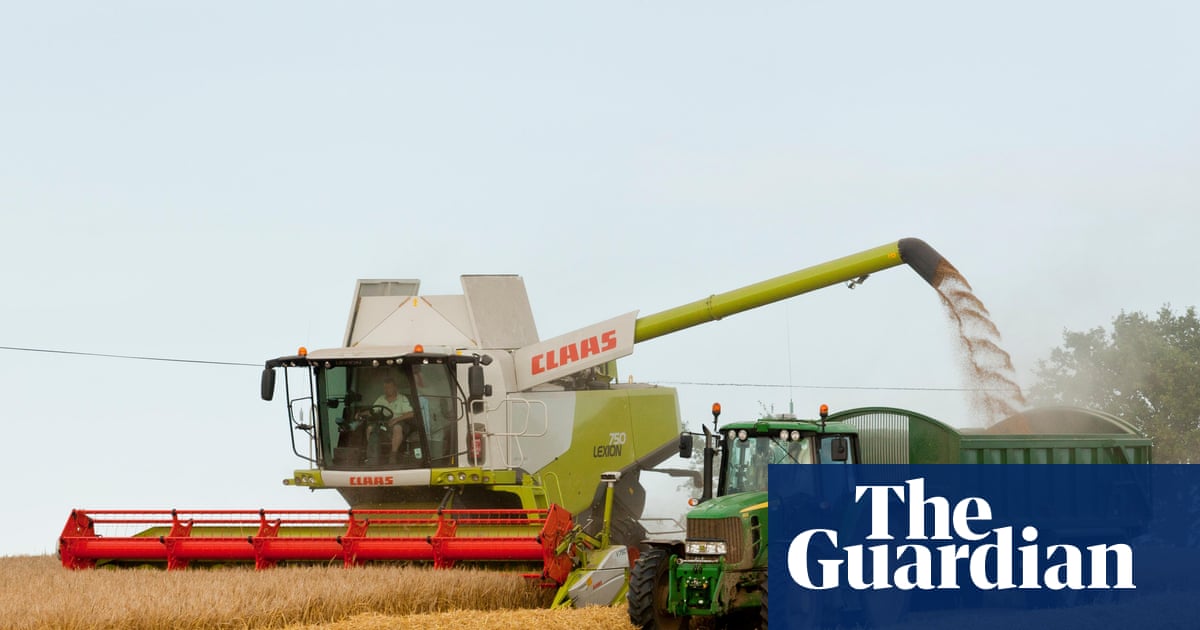 UK farmers lose £800m after heat and drought cause one of worst harvests on record