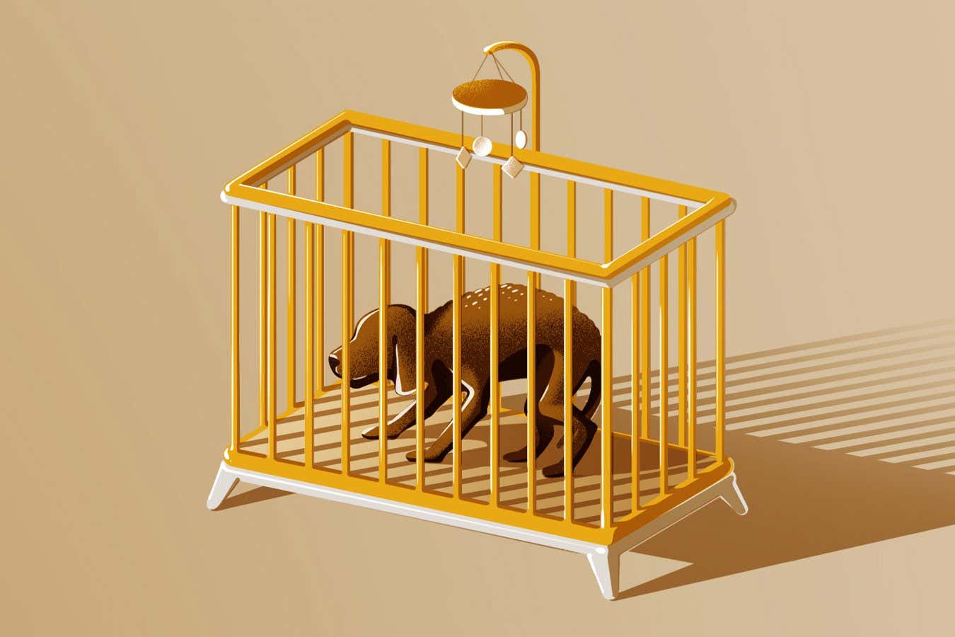 Stop treating your pet like a fur baby – you're damaging its health