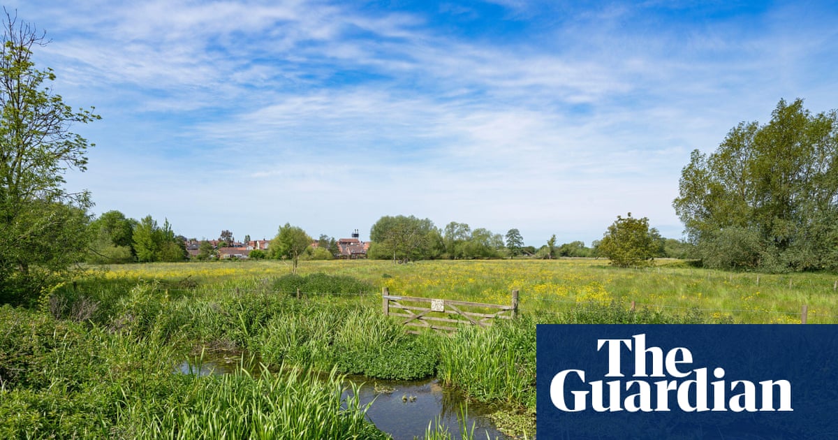 Nature recovery plan in England hit by clause allowing contracts to end with a year’s notice