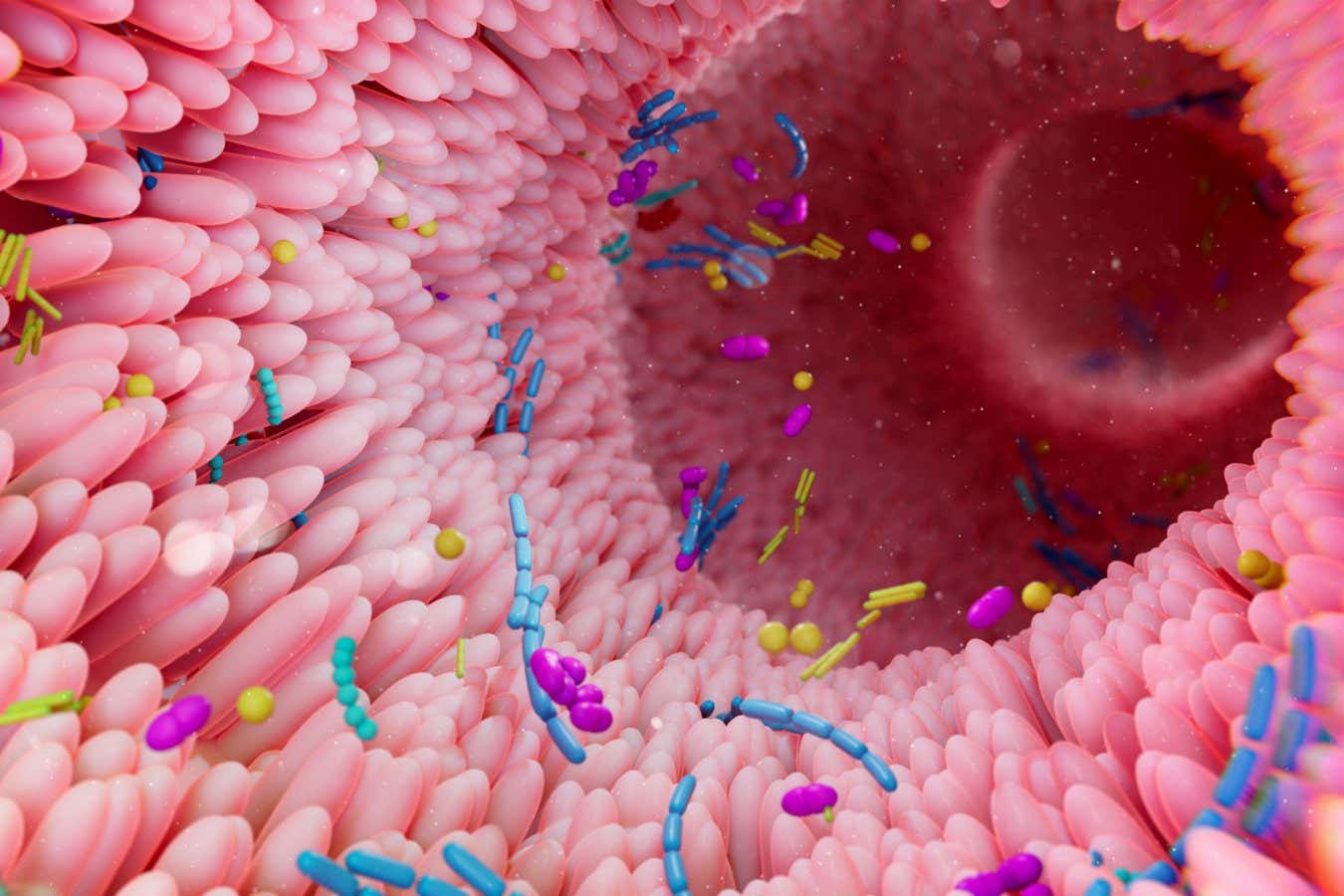 We may finally know what a healthy gut microbiome looks like