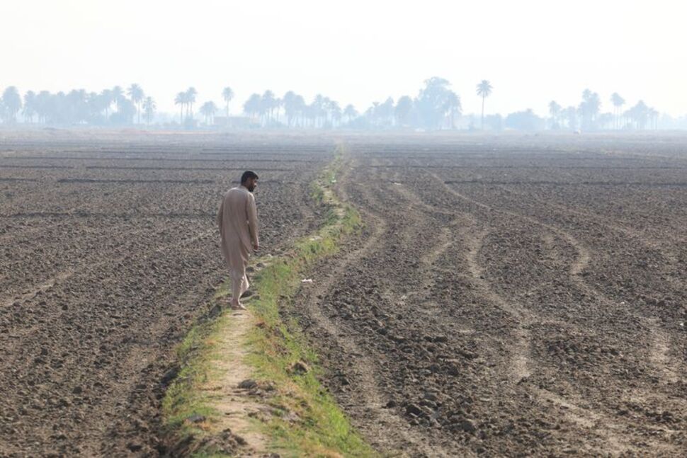 Iraq's Dreams of Wheat Independence Dashed by Water Crisis