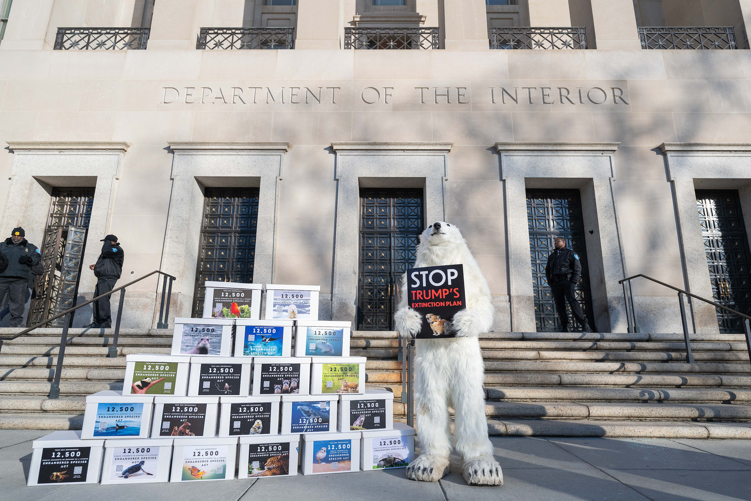 How Proposed Changes to the Endangered Species Act Could Further Threaten the Country’s Imperiled Species