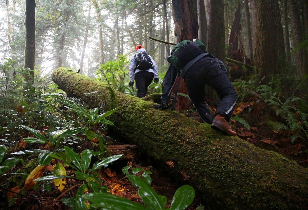 Devil's Staircase Wilderness