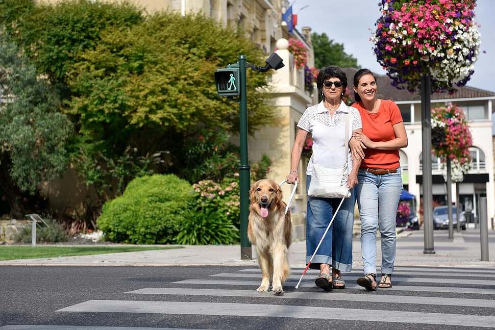 Faulty Genes Don't Always Lead To Vision Loss, Blindness