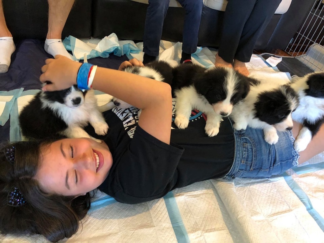 Girl lies on ground with five black and white puppies on top of her