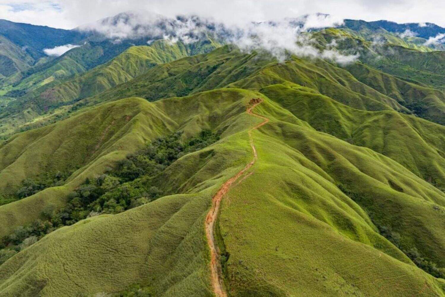 Costa Rica’s Térraba Community Battles Biodiversity Loss with Tree-Planting Revival