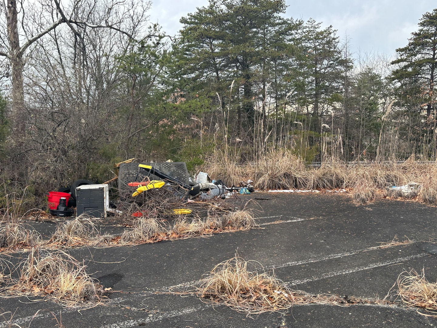 Data centers spark a ‘fight for the soul’ of this mostly Black Maryland county