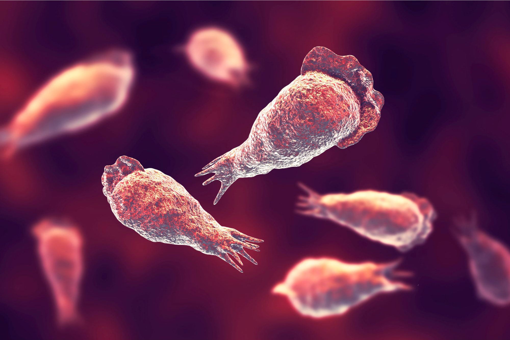 Scientists Warn of an Invisible “Brain-Eating” Threat Lurking in Water Systems Worldwide