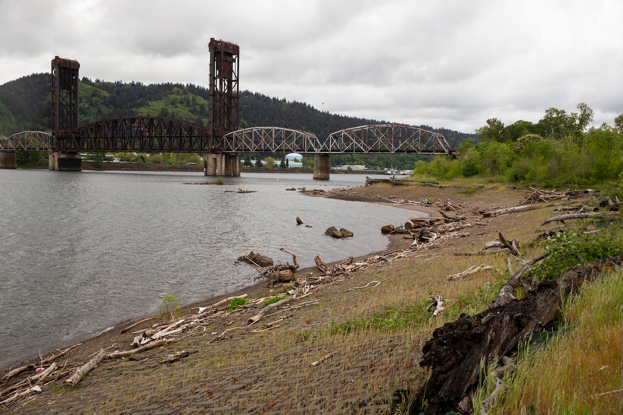 Flowers and shrubbery grow near a bridge and around a chain-link fence