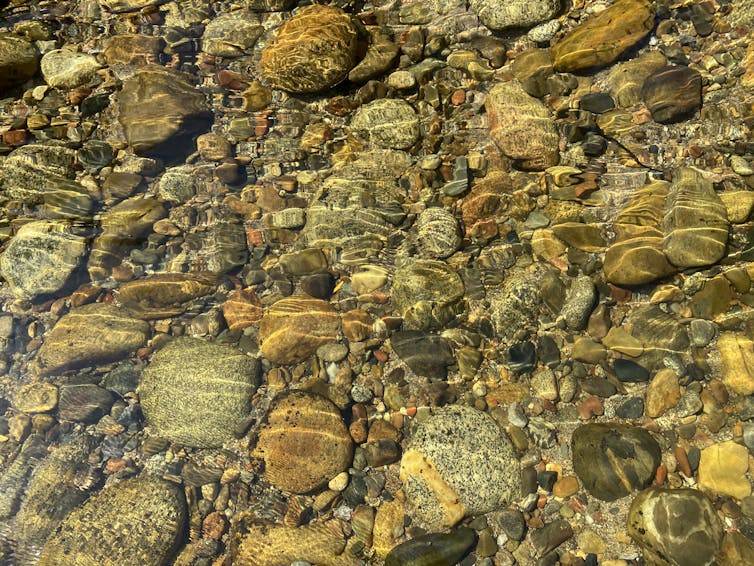Pebbles lie on the bottom of a clear alpine stream.