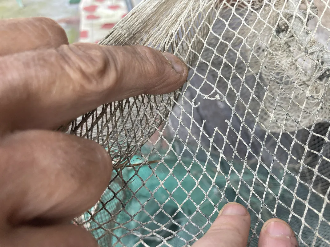 Can Venice's Iconic Crab Dish Survive Climate Change?