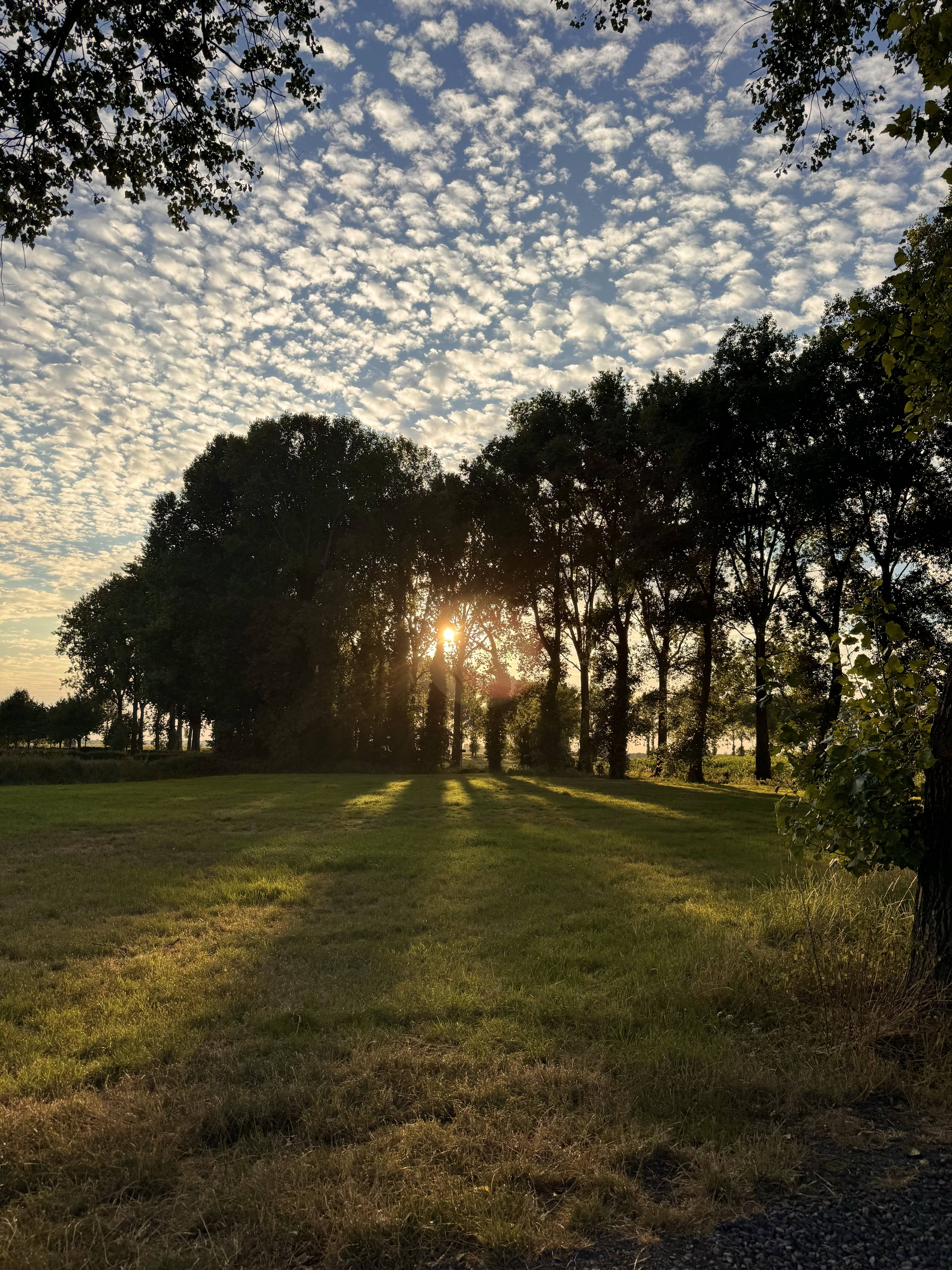 Landschap Beverhoutsveld