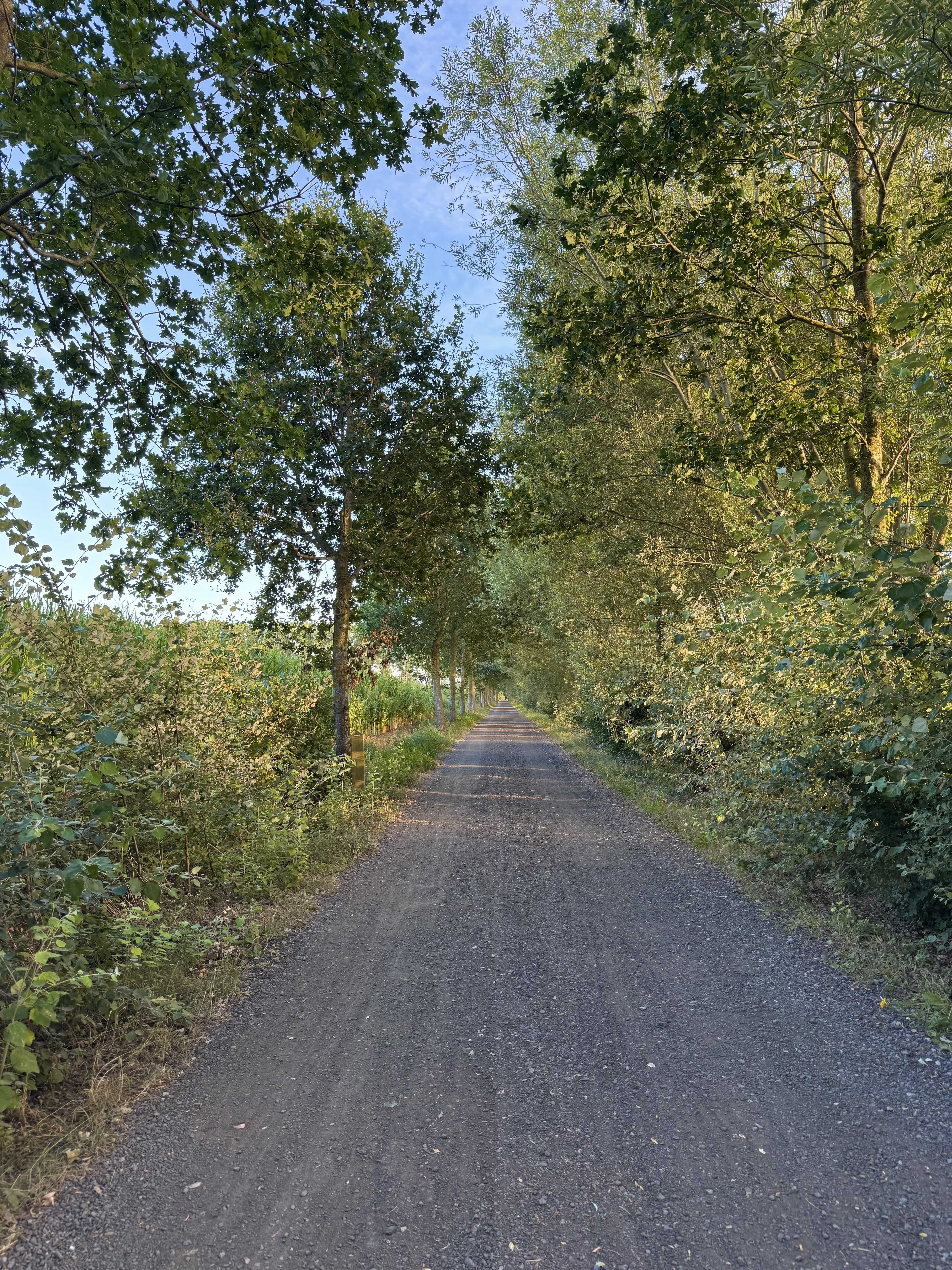Landschap Beverhoutsveld