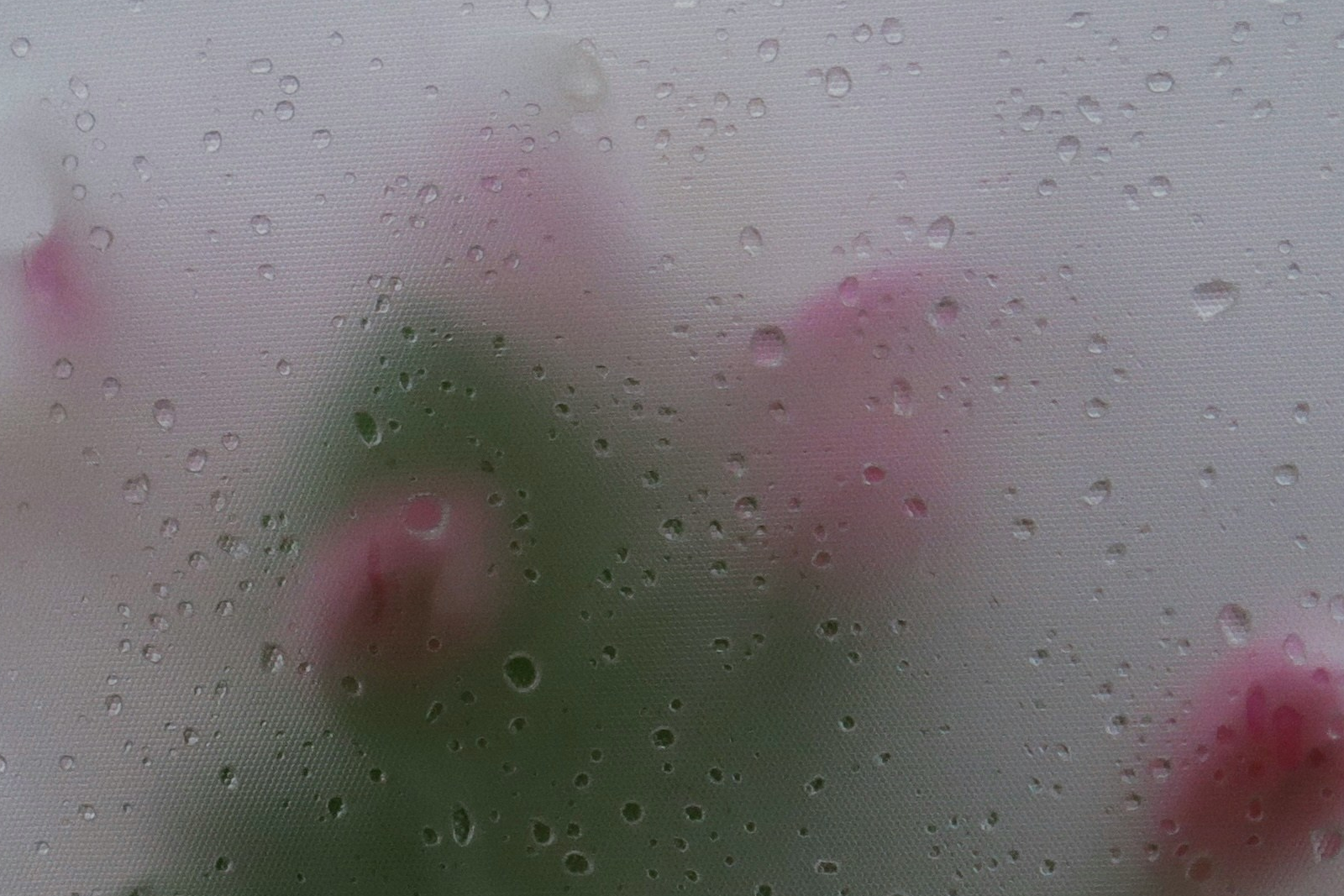 blog thumbnail