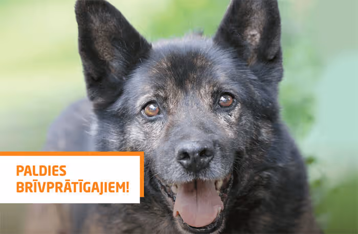 Paldies brīvprātīgajiem!