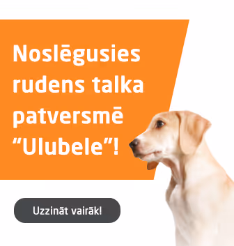 Paldies tūkstošiem brīvprātīgo, kuri piedalījušies rudens talkās dzīvnieku patversmē “Ulubele”!