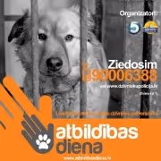 SMScredit.lv aizsāk labdarības kustību „Atbildības diena”