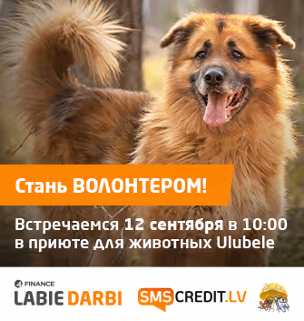 Стань ВОЛОНТЕРОМ!