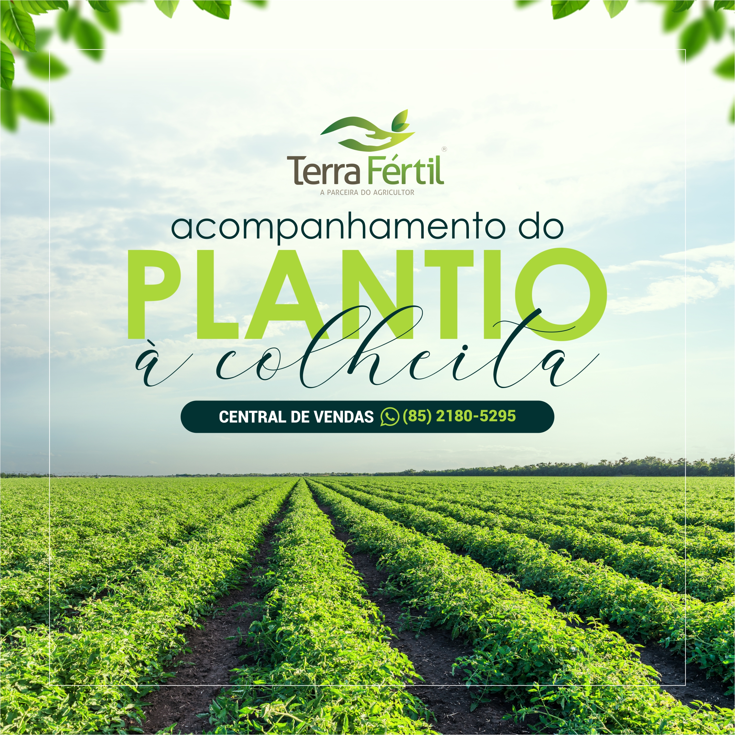 Terra Fertil Empreendimentos Imobiliarios