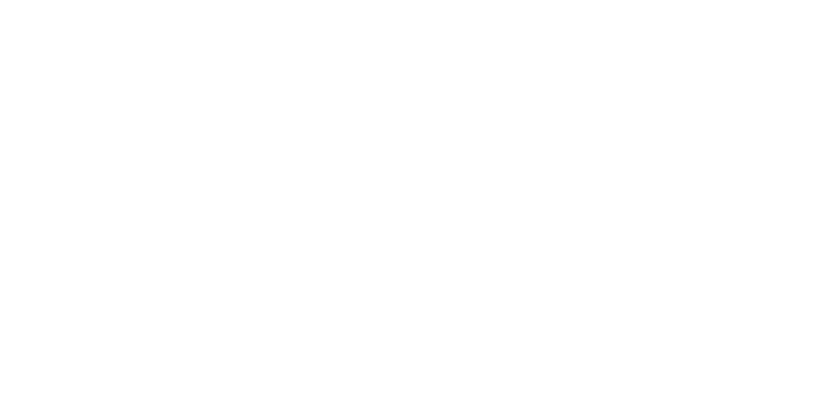 Gray Swan Logo White