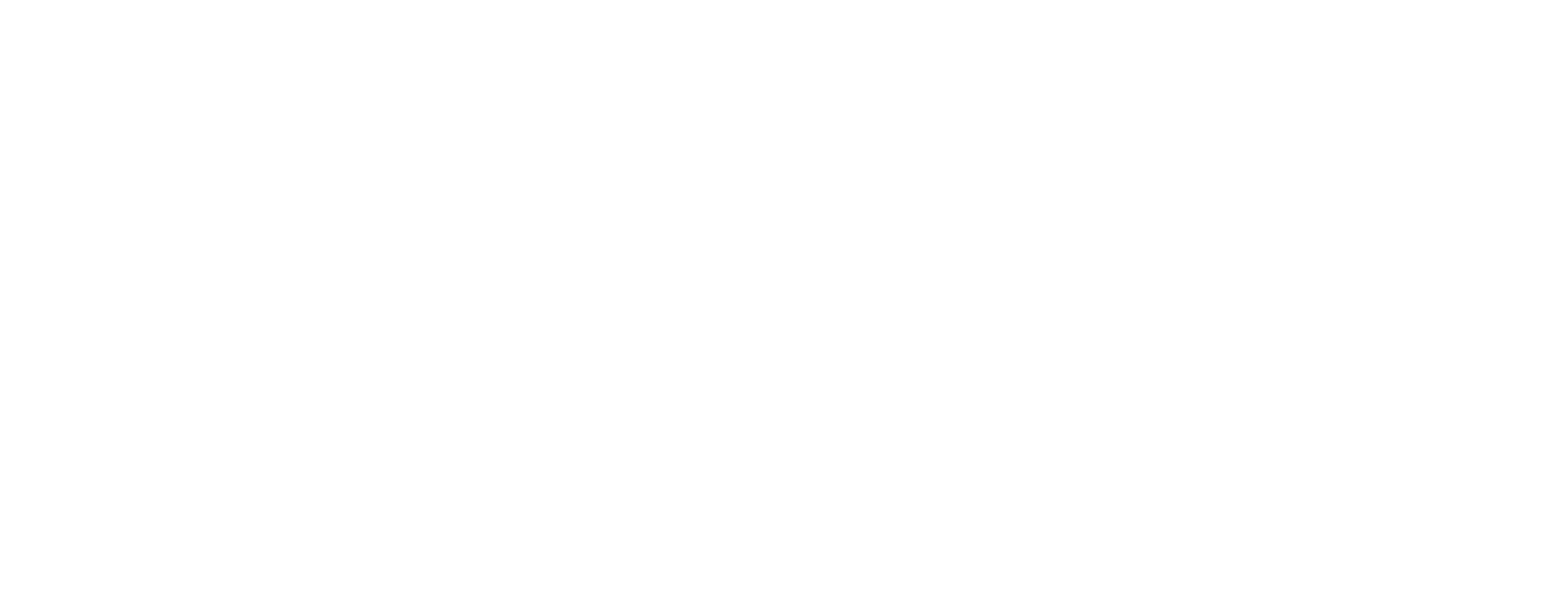 Sooth Labs Logo White