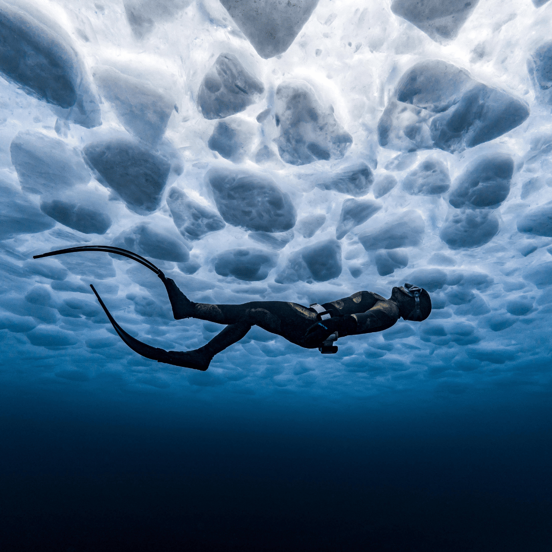 A diver explores under the ice - image taken from Ocean Photographer of the Year