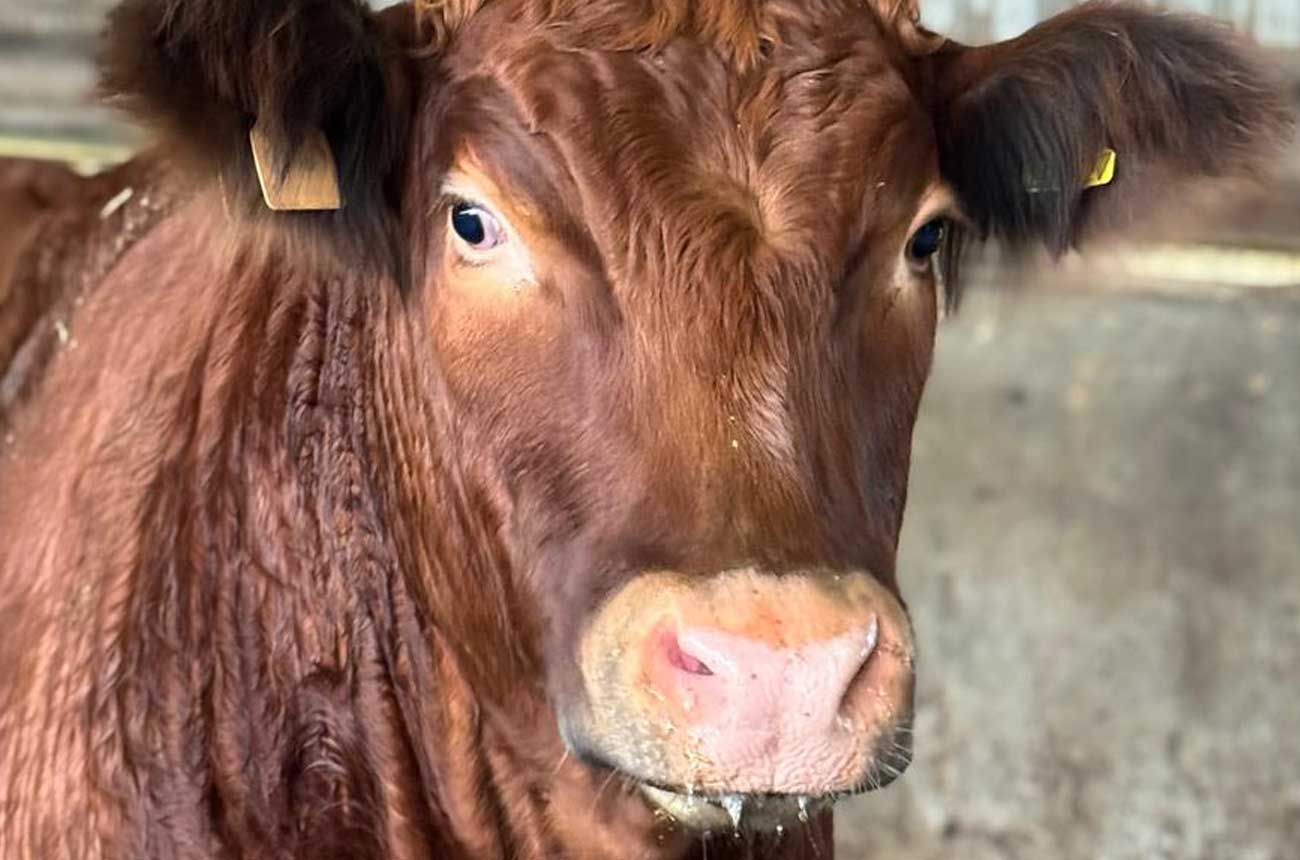 News Post Thumbnail Image