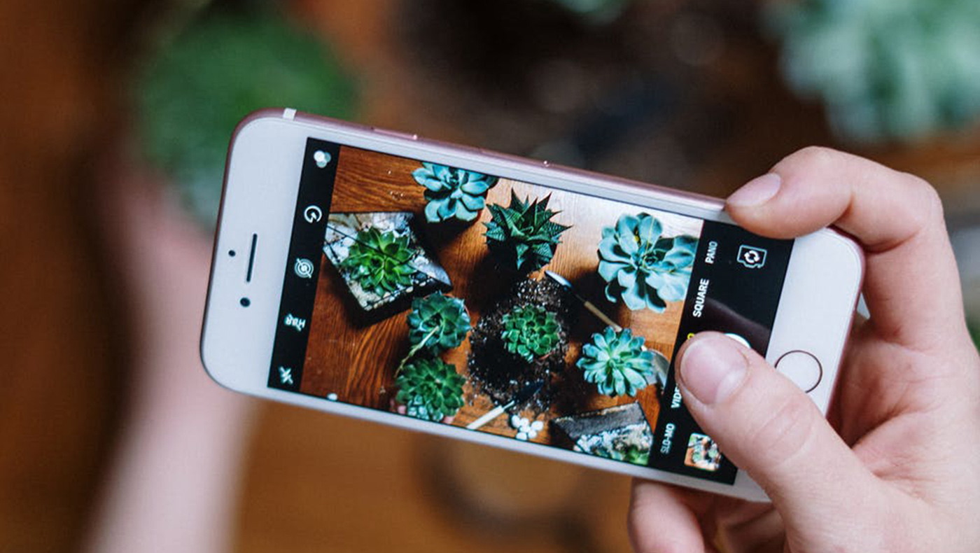 Picture of a little green app
