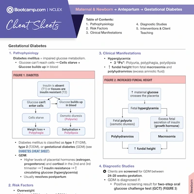 Educational cheat sheet explaining gestational diabetes including pathophysiology, risk factors, clinical manifestations, diagnostic studies, interventions, and client teaching, with diagrams on insulin resistance and increased fundal height.