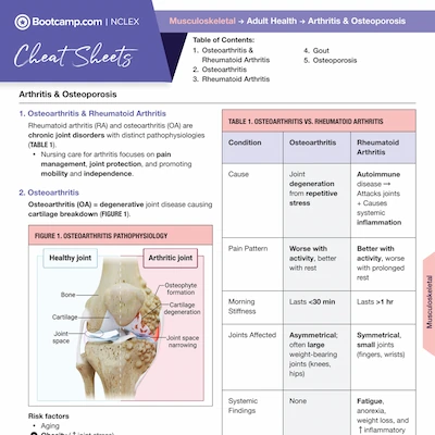 Cheat sheet from Bootcamp.com on Arthritis and Osteoporosis covering osteoarthritis and rheumatoid arthritis, including a diagram of healthy vs arthritic joint, a comparison table of osteoarthritis vs rheumatoid arthritis, and key points on pathophysiology, risk factors, and symptoms.