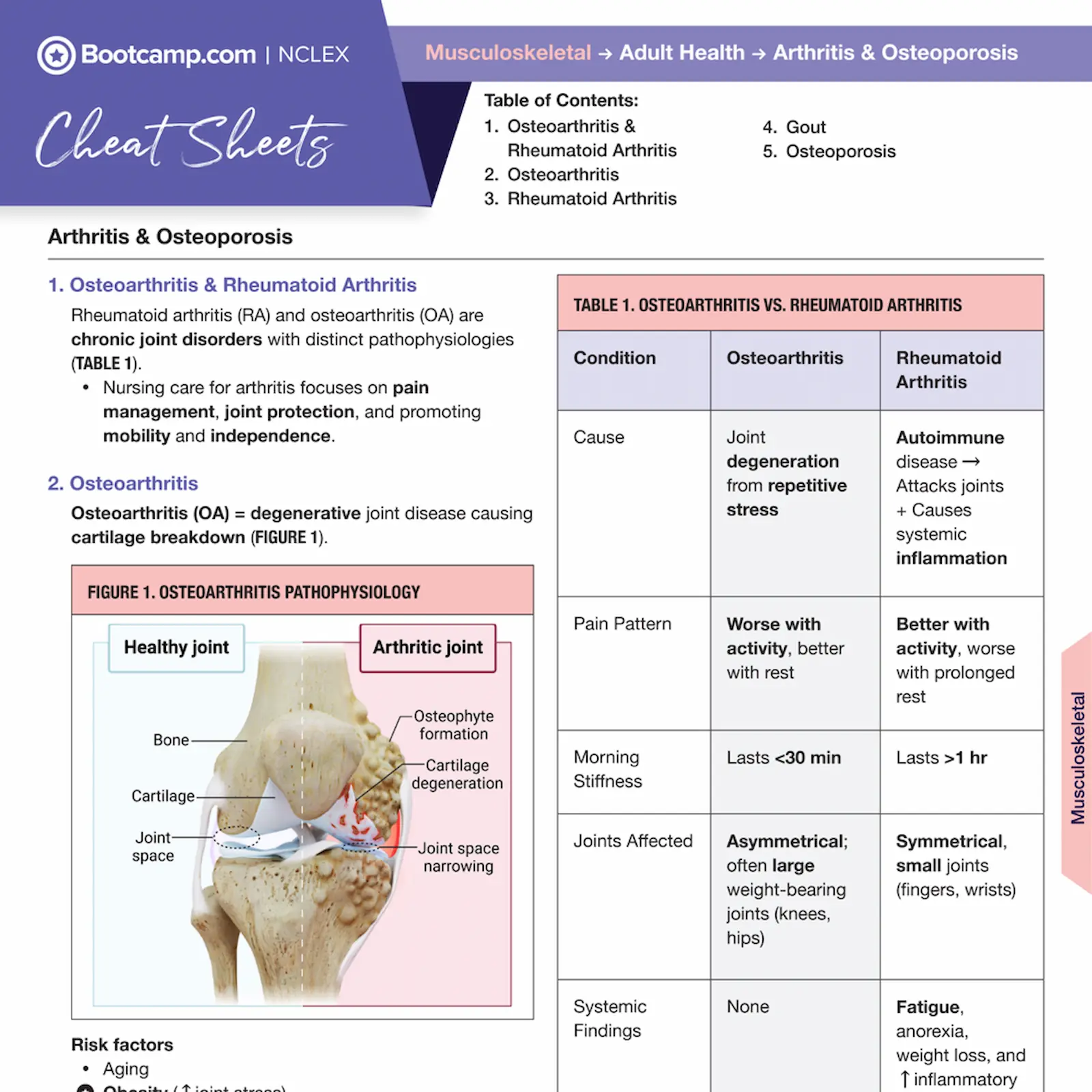 Cheat sheet comparing osteoarthritis and rheumatoid arthritis including pathophysiology, pain patterns, morning stiffness, joint affectation, and systemic findings with an illustration of healthy and arthritic knee joints.