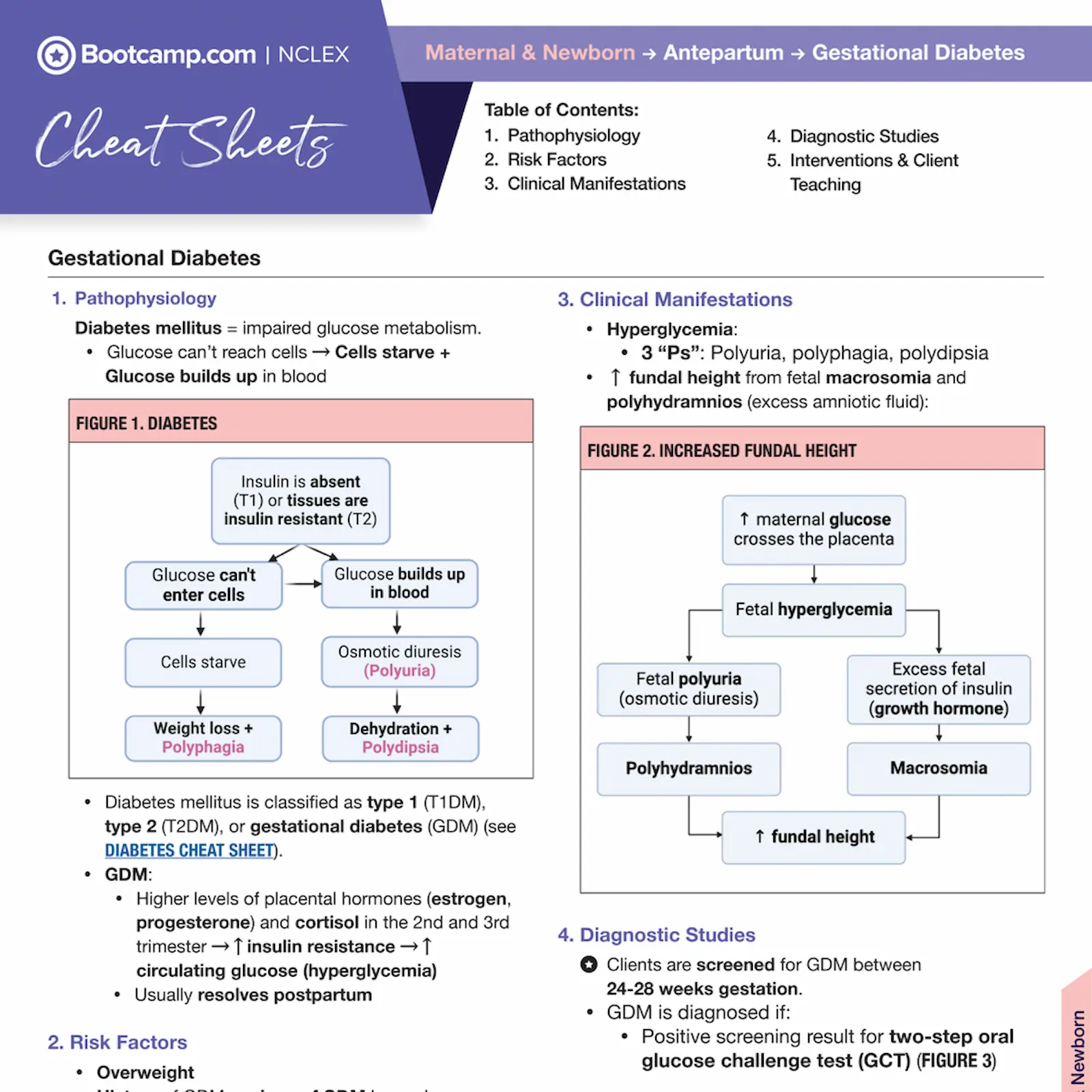 Bootcamp NCLEX gestational diabetes cheat sheet covering pathophysiology, risk factors, clinical manifestations, and diagnostic studies with two flowcharts illustrating diabetes mechanisms and increased fundal height effects.