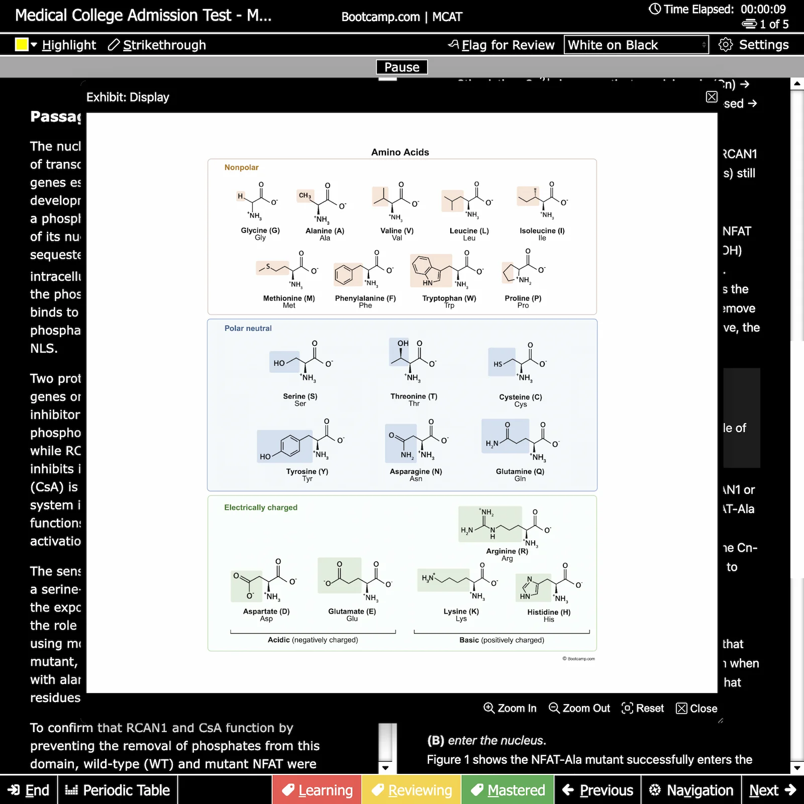 Chart showing amino acids grouped by properties: nonpolar, polar neutral, and electrically charged.